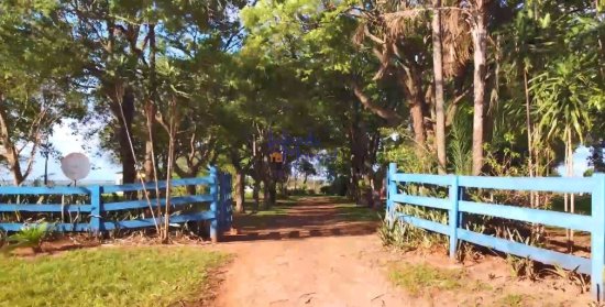 chacara-venda-chacara-santa-tereza-bairro-agua-branca-a-1-5km-de-birigui!-entrada-da-transduarte-rod-dep-roberto-rollemberg--591767