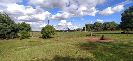 chacara-venda-chacara-santa-tereza-bairro-agua-branca-a-1-5km-de-birigui!-entrada-da-transduarte-rod-dep-roberto-rollemberg--591784