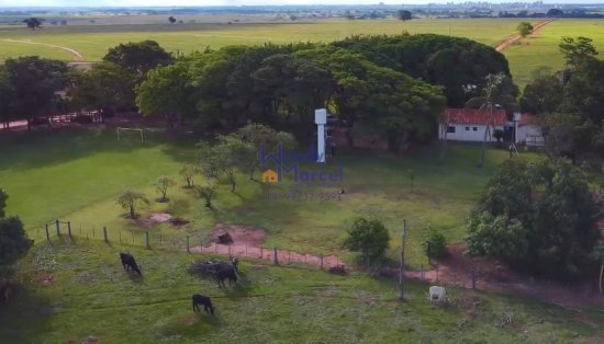 chacara-venda-chacara-santa-tereza-bairro-agua-branca-a-1-5km-de-birigui!-entrada-da-transduarte-rod-dep-roberto-rollemberg--591770