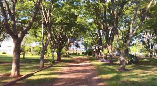 chacara-venda-chacara-santa-tereza-bairro-agua-branca-a-1-5km-de-birigui!-entrada-da-transduarte-rod-dep-roberto-rollemberg--591775