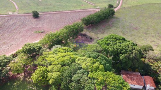 chacara-venda-chacara-santa-tereza-bairro-agua-branca-a-1-5km-de-birigui!-entrada-da-transduarte-rod-dep-roberto-rollemberg--591789